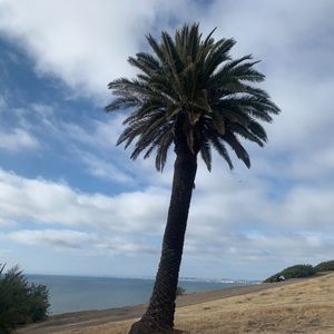 Meet your Posher, Celia S